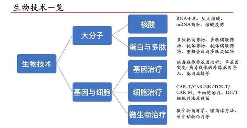 嘉和硬科技捕手記 科技企業(yè)孵化器如何發(fā)現(xiàn)與評(píng)估生物醫(yī)藥產(chǎn)業(yè)黑馬